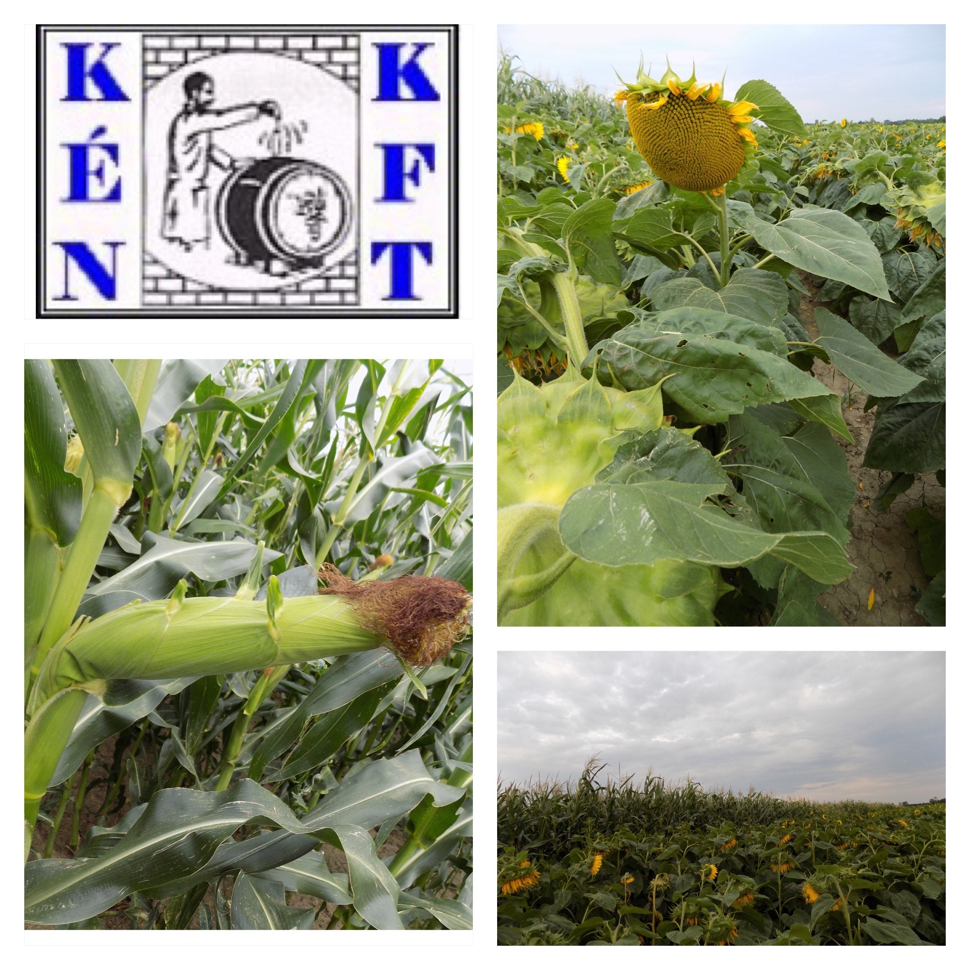 2023 honlapra kezdőfotó03 eredeti(1)